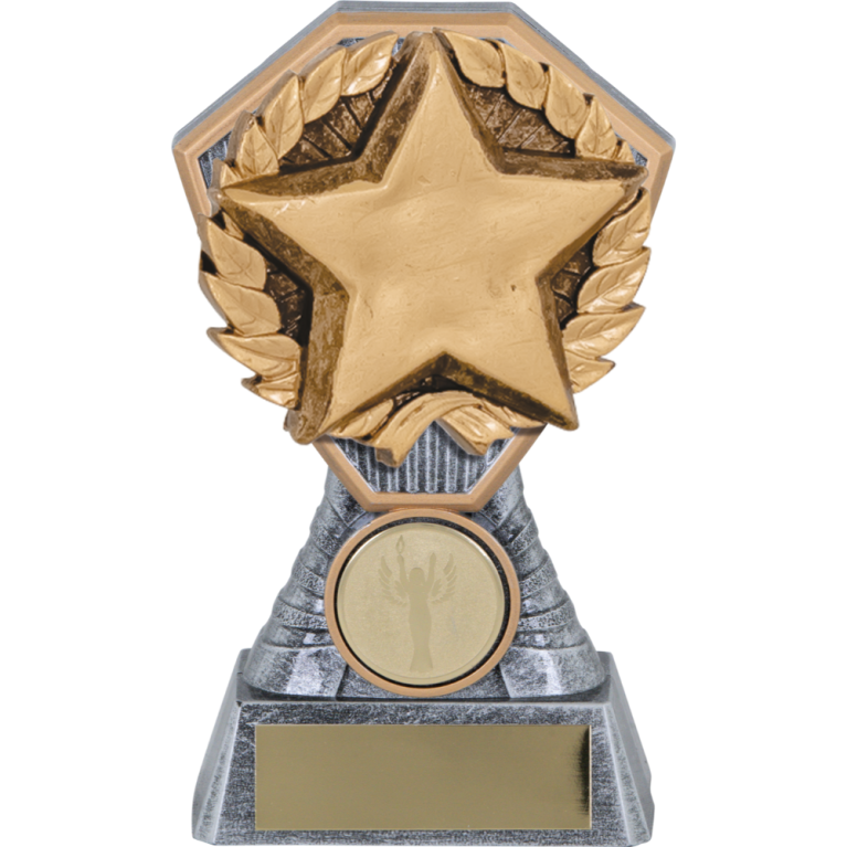 Heavy Composite Generic Star Award Insert in 4 sizes