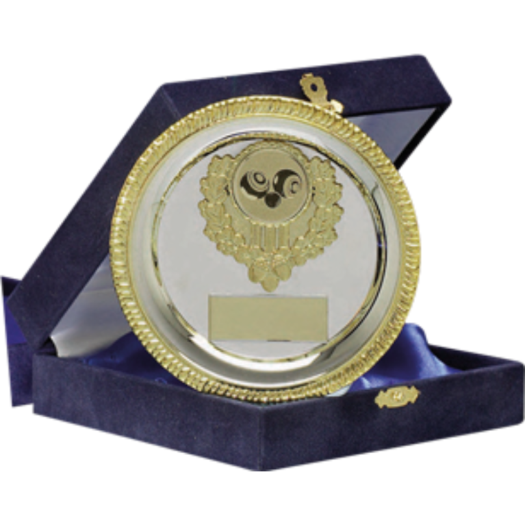 All Activity Silver Plated Metal Salver with Gold Trim in Presentation Box 1" and 2" Centre 4 sizes