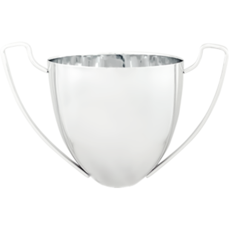 Bright Silver Metal 3/4 Bowl with Handles 4 sizes