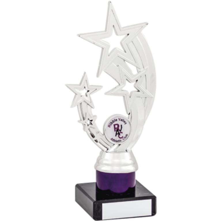 All Activity with Bright Silver Top with Purple Trim and 1" Centre Marble Base in 4 sizes