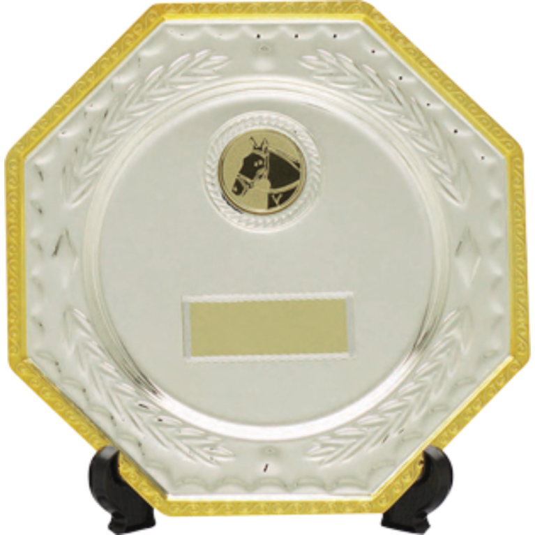 All Activity Silver Plated Metal Salver and Stand with Gold Trim 1" Centre 2 sizes