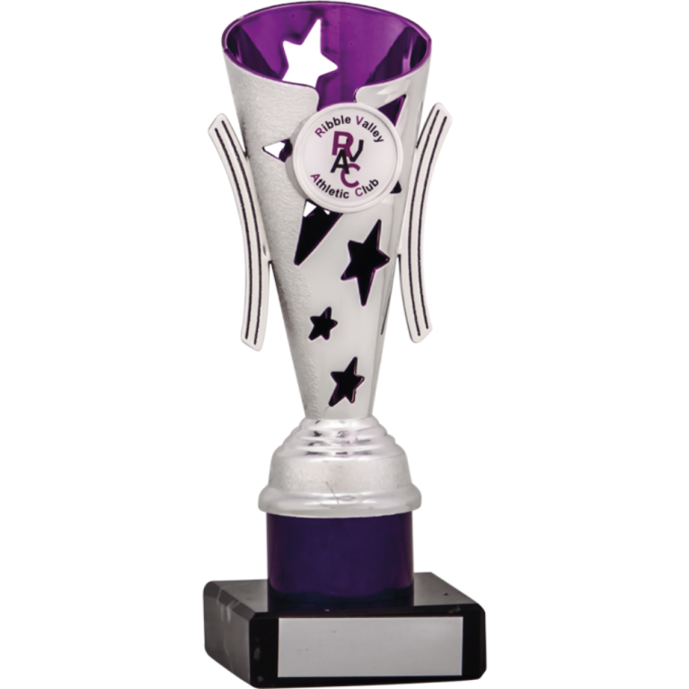 All Activity with Bright Silver Top with Purple Trim and Column on Marble Base in 6 sizes