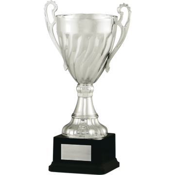 All Activity with Bright Silver Cup with Stem Composite Base in 6 sizes