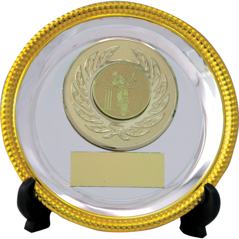 All Activity Silver Plated Metal Salver and Stand with Gold Trim 1" Centre 2 sizes