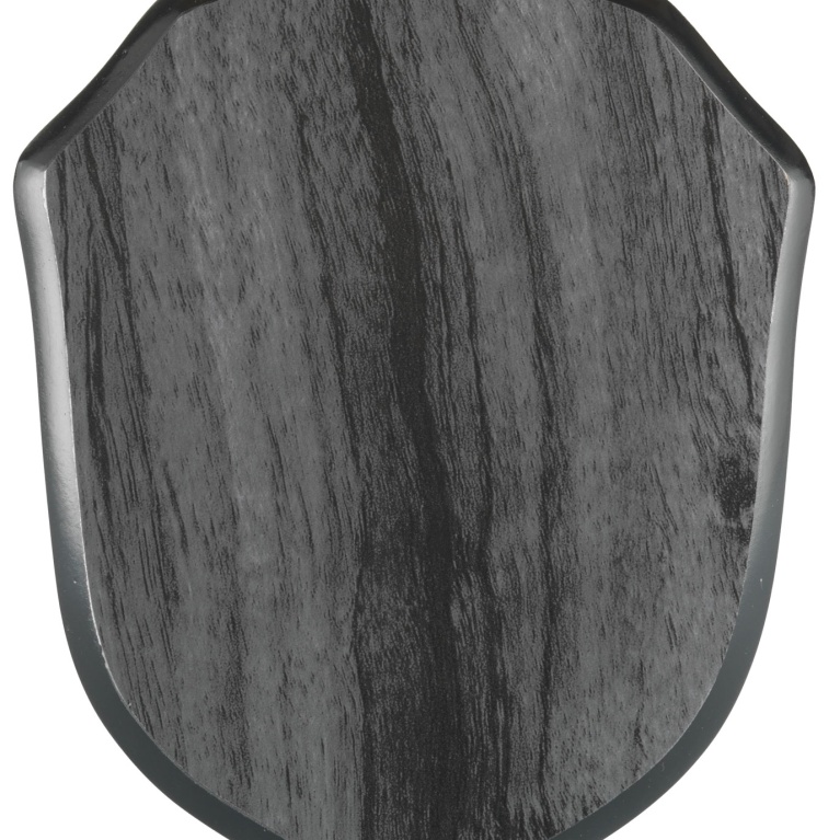 Wooden Shield with Strut in Silver Wood effect in 3 sizes