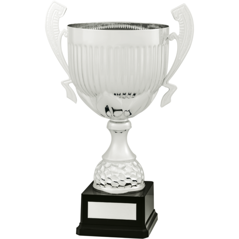 All Activity with Bright Silver Cup with Stem Composite Base in 4 sizes