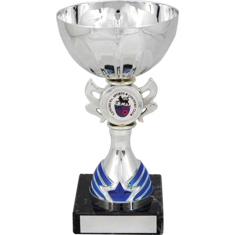 All Activity with Bright Silver Bowl and Stem with Blue Trim1" Centre Marble Base in 8 sizes