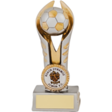 Premier Football Award in Silver Gold for 1" Centre in 1 size.Offers invited for quantities over 200