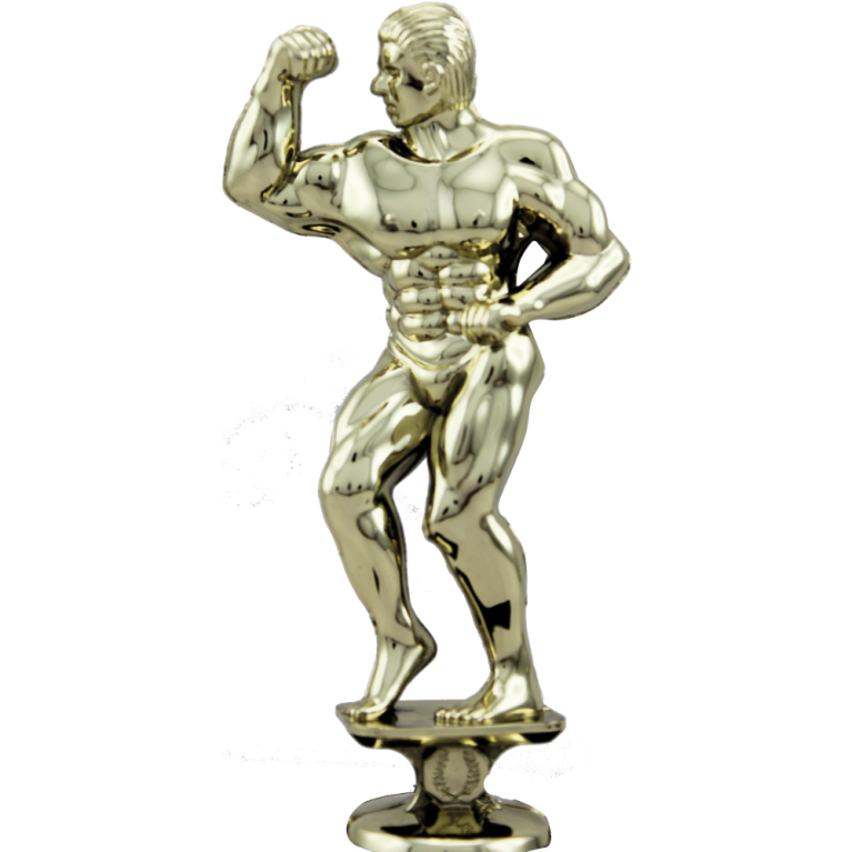 Bodybuilder in Bright Gold 1 size