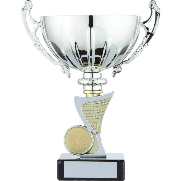 All Activity with Bright Silver Cup Gold Trim and Stem with 1" Centre Marble Base in 10 sizes