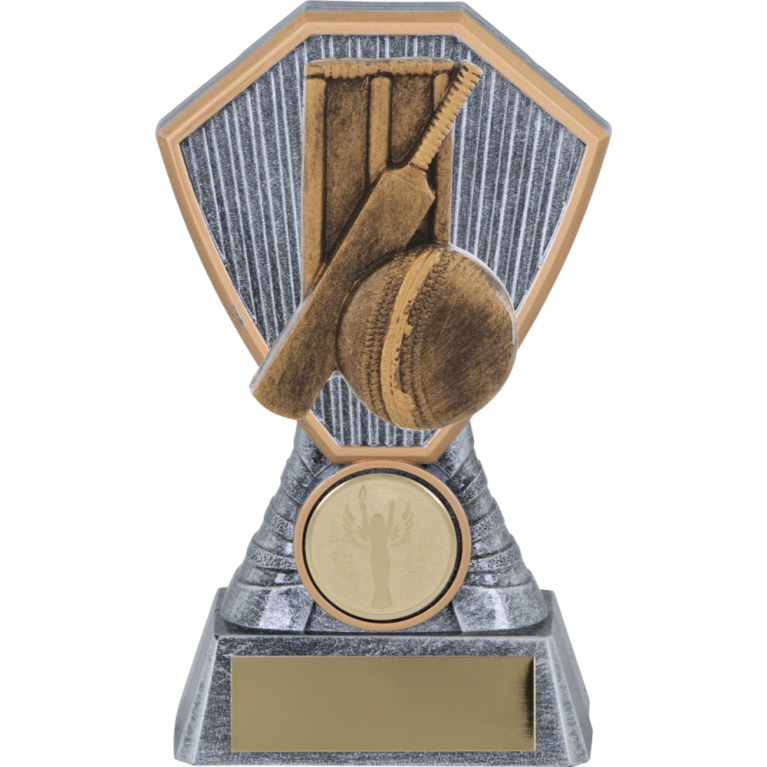 Heavy Composite Generic Cricket Award Insert in 4 sizes