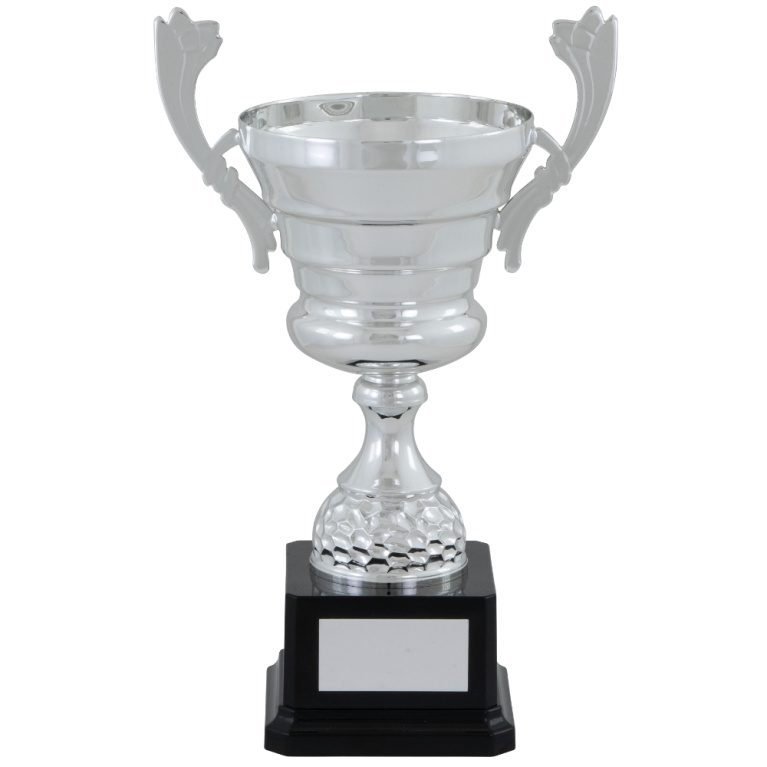 All Activity with Bright Silver Cup with Stem Composite Base in 5 sizes