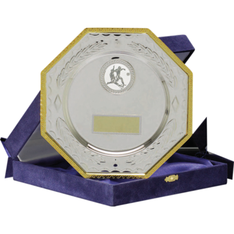 All Activity Silver Plated Metal Salver with Gold Trim in Presentation Box 1" Centre 2 sizes