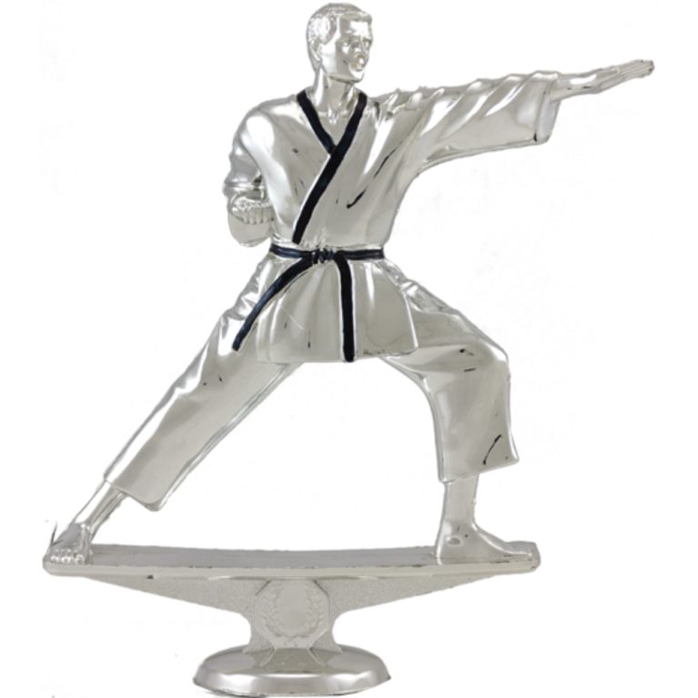 Karate Male in Bright Silver with Black Trim