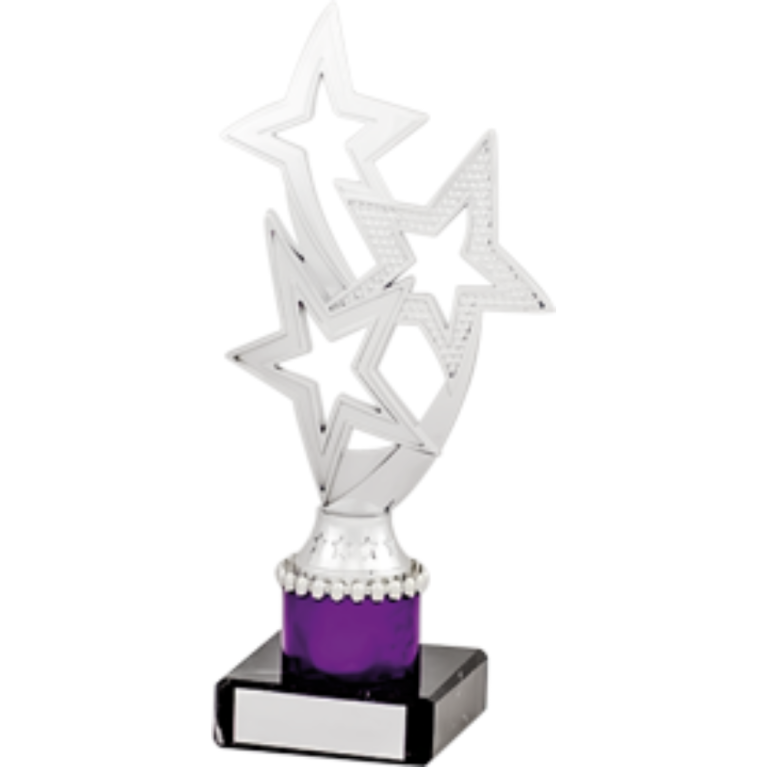 All Activity with Star Top in Bright Silver and Purple Column on Marble Base in 4 sizes