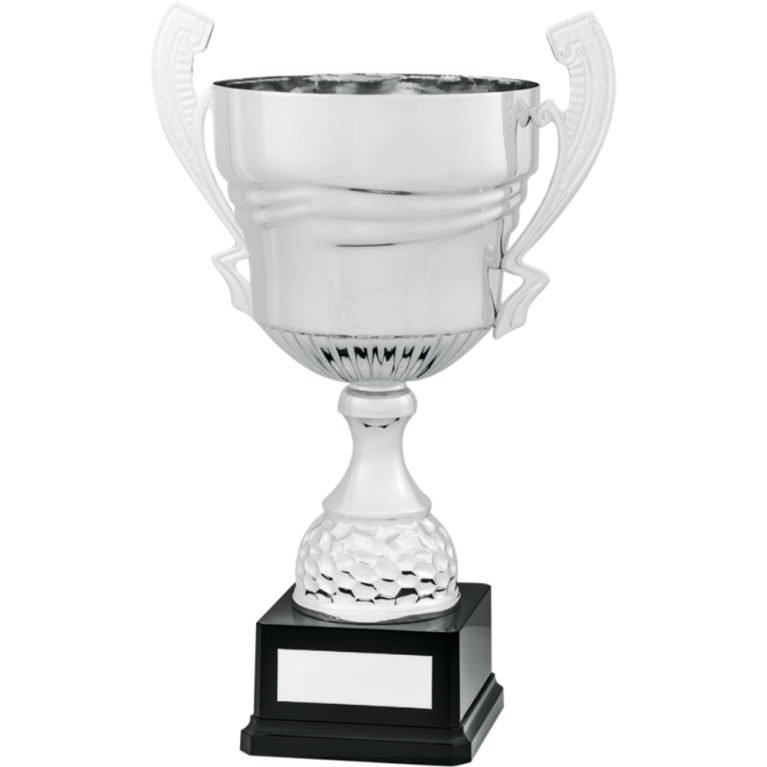 All Activity with Bright Silver Cup with Stem Composite Base in 4 sizes