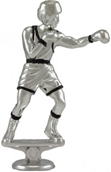 Male Boxer in Bright Silver with Black Trim